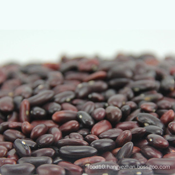 Wholesale beans Long shape dark red kidney beans